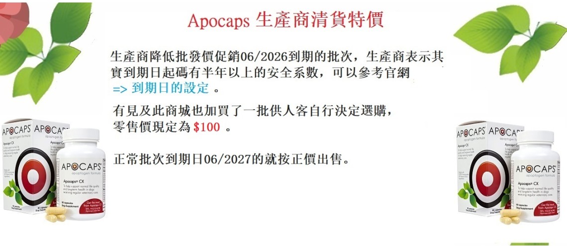 Home Page Slideshow