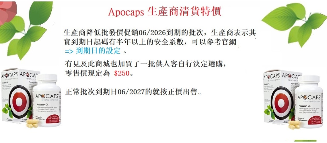 Home Page Slideshow