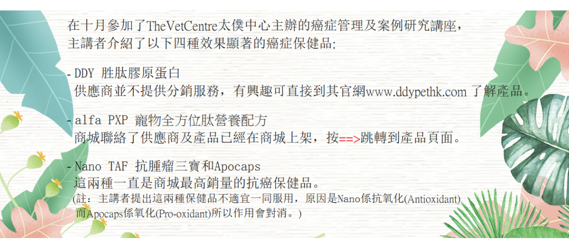 Home Page Slideshow