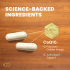 輔酶 Q10 (Coenzyme Q10)